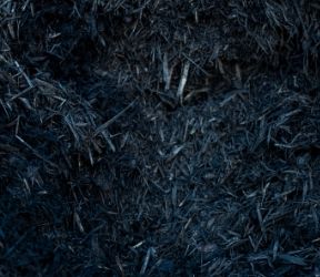 Black Mudja Mulch perth