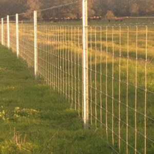 Ringlock fencing Perth