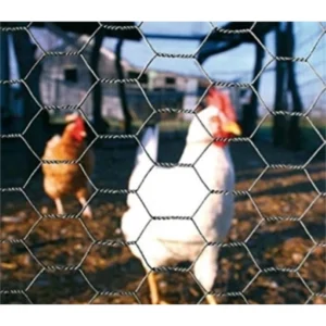 chicken netting perth